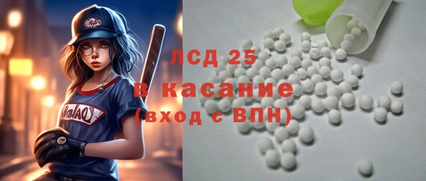 индика Новодвинск