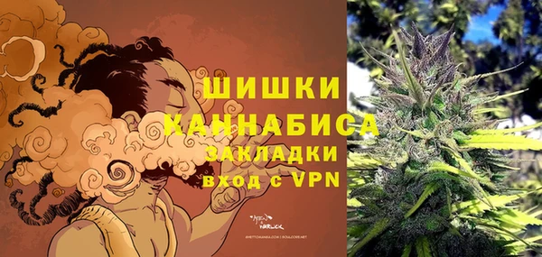 крисы Балахна