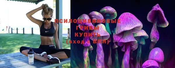 крисы Балахна
