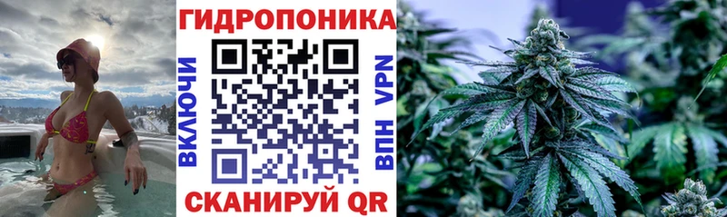 наркота  Петушки  Бошки Шишки семена 